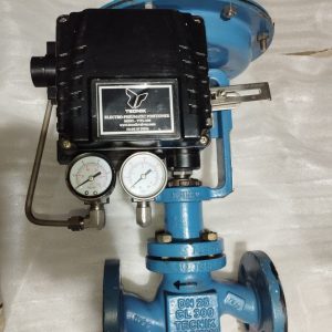product image of Valve DN 25 CL300 TECNIK T10-012001