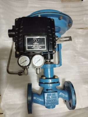 product image of Valve DN 25 CL300 TECNIK T10-012001