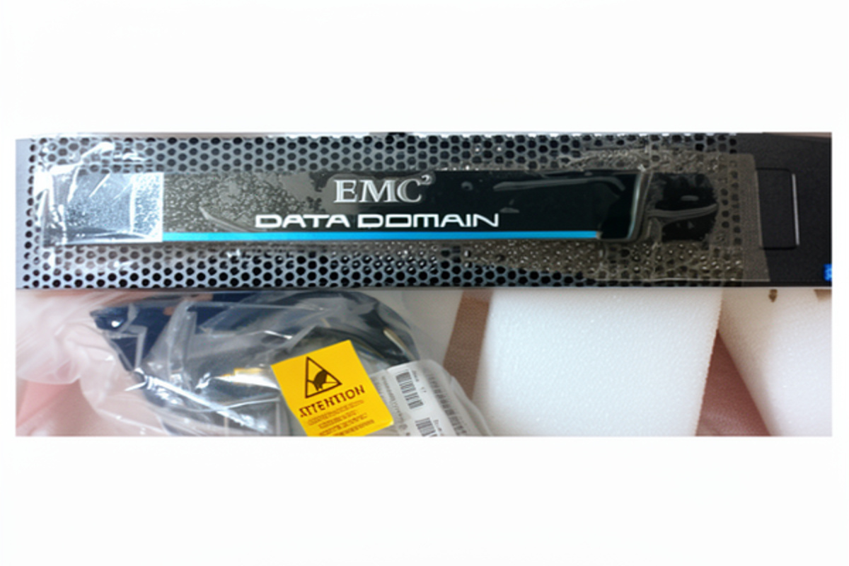 Data Domain DD2200 enterprise class deduplication appliance for database protection and data storage efficiency